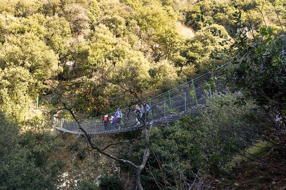 Girovagando Il Ponte Tibetano Di Crero